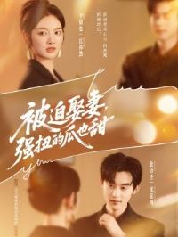 ����Ȣ�ޣ�ǿŤ�Ĺ�Ҳ��