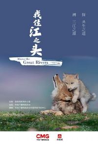 ��ס��֮ͷ����