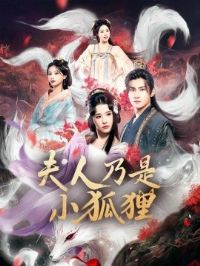 ������˽�����������������С����