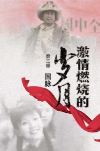 ����ȼ�յ�����3