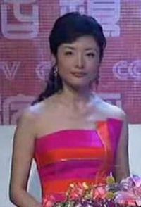 ��һ��CCTV��������