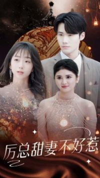 ����ǰ�޲�����