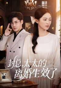 ���ܣ�̫̫�������Ч��