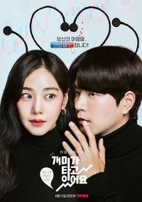 ������ȼ��